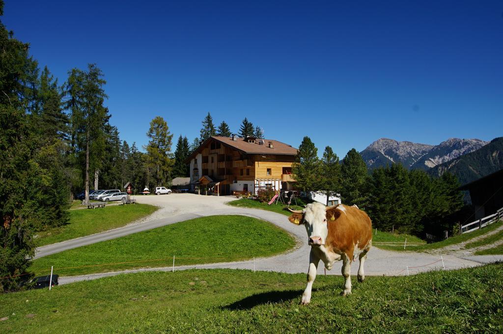 Chalet Frapes San Martino in Badia Eksteriør bilde